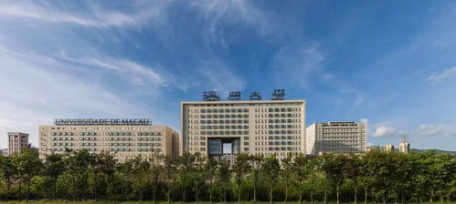 橫琴方案 開啟大灣區 融合聚變 新天地