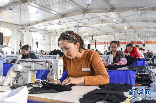 為什么越來越多的年輕人寧愿 躺平 也不愿意進(jìn)工廠